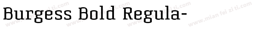 Burgess Bold Regula字体转换